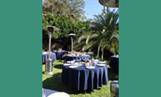 Wedding 11